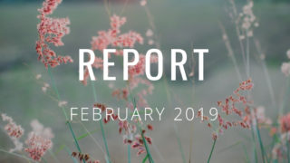 2019年2月の運営報告